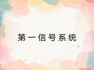 第一信号系统
