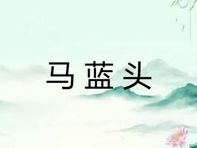 马蓝头