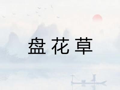 盘花草
