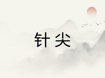 针尖