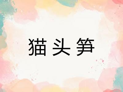 猫头笋
