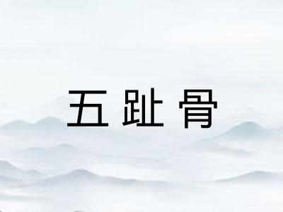 五趾骨