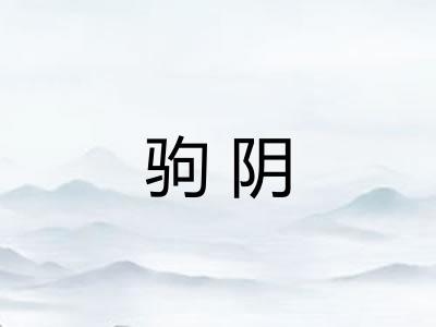 驹阴