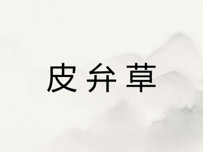 皮弁草