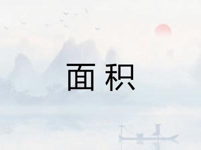 面积