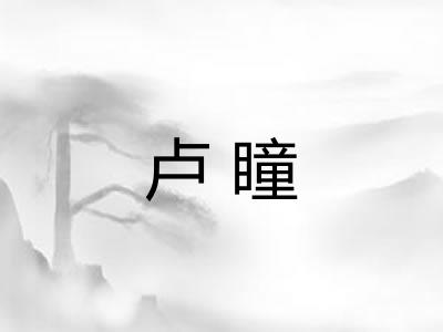 卢瞳