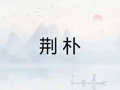 荆朴