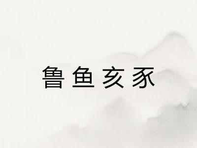 鲁鱼亥豕
