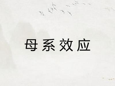 母系效应