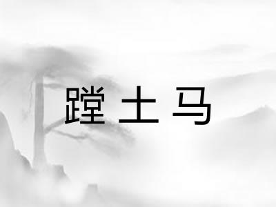 蹚土马