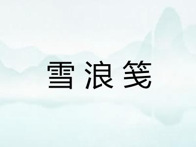 雪浪笺