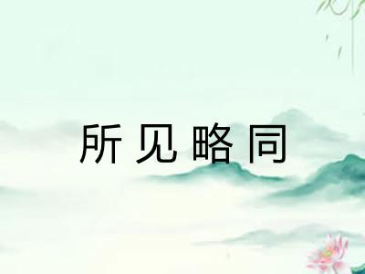所见略同