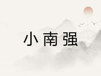小南强