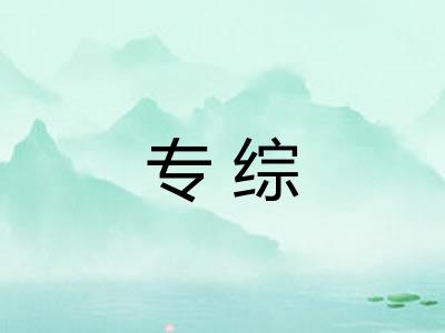 专综
