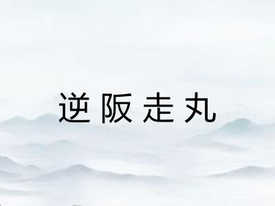 逆阪走丸