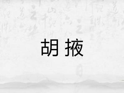 胡掖
