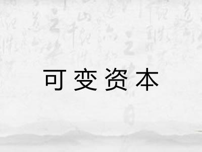 可变资本