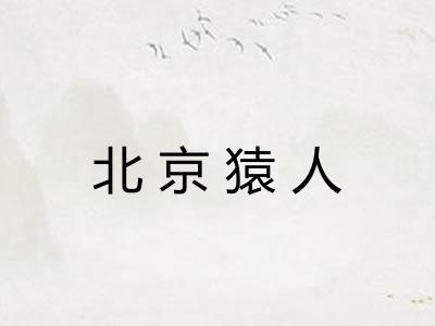 北京猿人