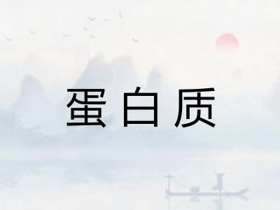 蛋白质