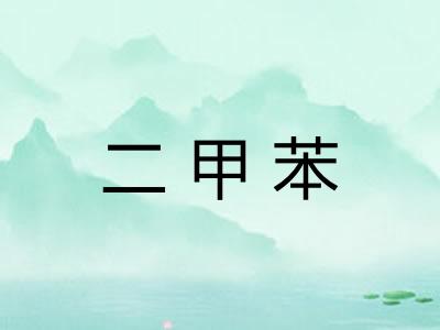 二甲苯
