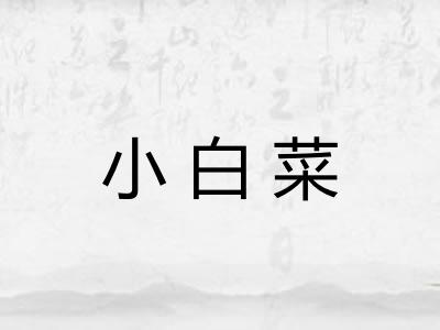 小白菜
