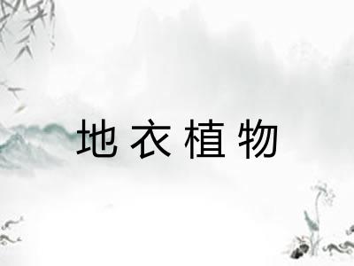 地衣植物