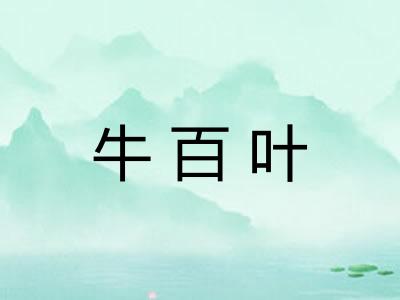牛百叶