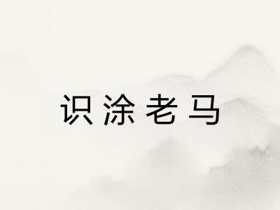 识涂老马