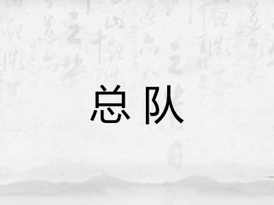 总队