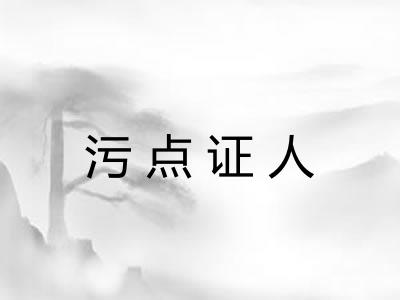污点证人