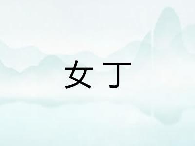 女丁