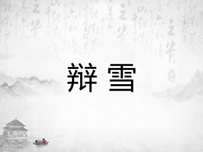辩雪