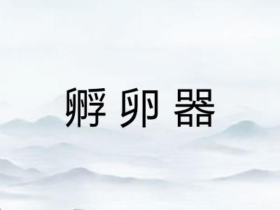 孵卵器
