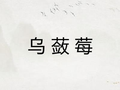 乌蔹莓