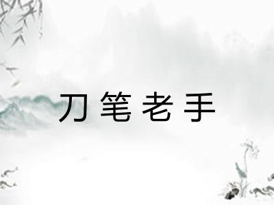 刀笔老手