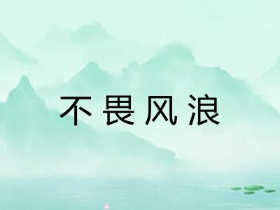 不畏风浪