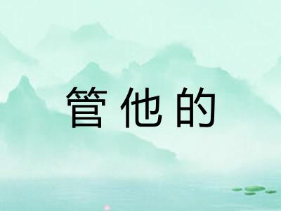 管他的