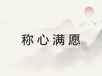 称心满愿