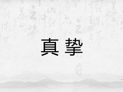 真挚