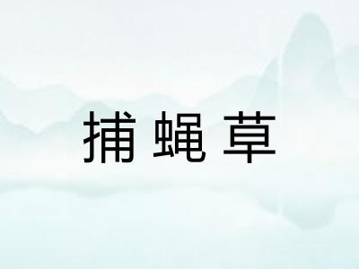 捕蝇草