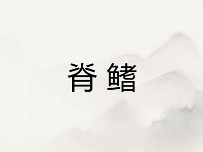 脊鳍