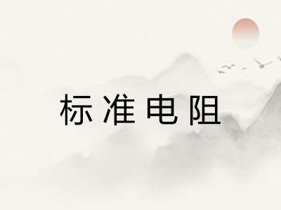 标准电阻