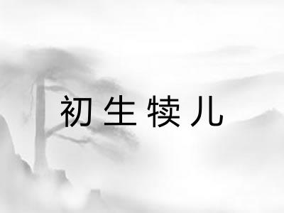 初生犊儿