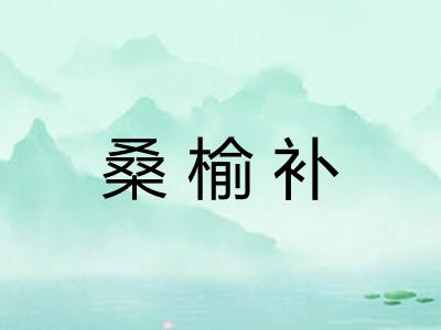 桑榆补