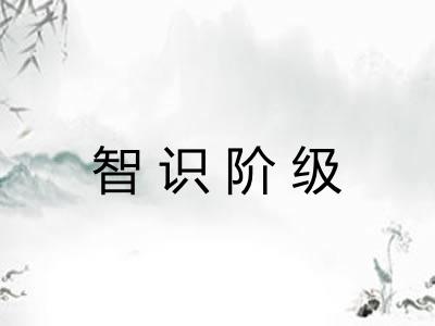智识阶级