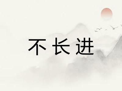 不长进