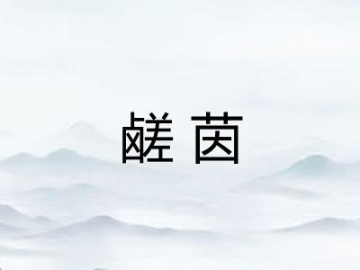 鹾茵