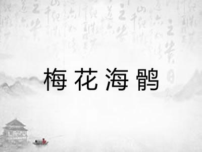 梅花海鹘