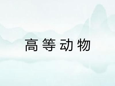 高等动物