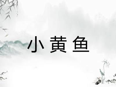 小黄鱼